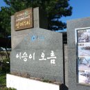오름컨설팅 이미지