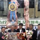 조은한우농장 이미지