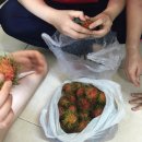 은혜카-센터 이미지