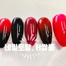 미용전문교육기관.네일토탈H쌀롱 이미지