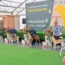Rzeszów 도그쇼 주말 – 진도개 3번의 그룹 입상 이미지