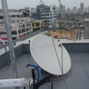 가로수빌딩 이미지