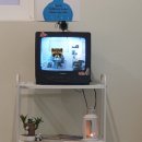 라이블리(Lively) 이미지