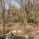 광명동굴 | [광명동굴]서울 근교 실내 명소✨ 광명동굴 후기 (커플, 가족 모두 추천 코스)