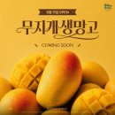 데이올