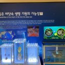 공푸드 이미지