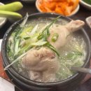 종로-신교-종로-신-263 | 할 일이 쌓였을 때 훌쩍 여행을🏖️