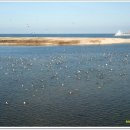 바우길 12구간 이미지