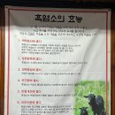 서운 경로당 | 임실맛집 추천, 흑염소탕 별장회관 후기