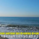 Andy Williams - Stranger On The Shore 이미지