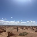 모래언덕 | [몽골] 2-3일차_ 낙타체험 + 홍고린엘스언덕 + 바양작 _모래썰매 생생후기