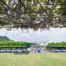 콩수레 두부家 이미지