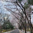방아다리근린공원 네이버블로그