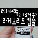엠에스디아이 | 치료제 비급여 라게브리오 캡슐 후기│2024년 8월 코로나 감염 후기_독감(인플루엔자) 코로나 검사...