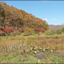 곤지암도자공원 이미지