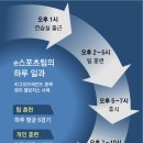 하나스포츠2 이미지