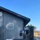 화개송이펜션B | 강릉 네코스테이 고양이 펜션 노천탕과 코타츠가 있는 숙소에서 집사체험까지