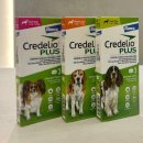 플러스동물의료센터 이미지