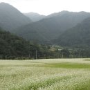 소천면사무소 이미지