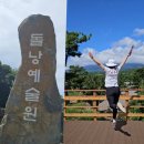 서귀포가볼만한곳 돌과 나무 분재 석부작 돌낭예술원