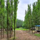 미루농원 이미지