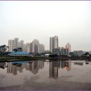 LG사원아파트 앞 이미지