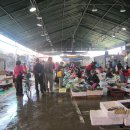 죽도어시장 이미지