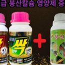 농업회사법인 본가 주식회사 네이버블로그