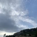 기정농장 이미지