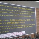 네일드보라 이미지