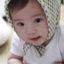 하율 이미지