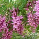 3월 28일 이미지