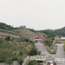 과골 이미지