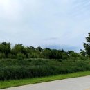 대저캠핑장 이미지