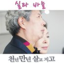 실과 바늘 이미지