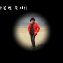 멍키 이미지