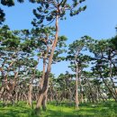 황성공원 시민운동장 이미지