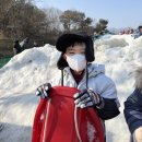 운정 경희대 한결태권도장 | "성장은 꼭 도장 안에서만 일어나지 않는다" 경희대한결태권도 서울랜드 눈썰매장 체험학습