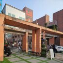 펫디저트(Pet Dessert) | 성수동 카페 추천 | 성수연방 천상가옥 식물 가득 감성카페 디저트 솔직후기