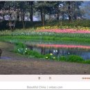 서호민박 이미지