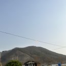 당나루 | 김해 애견동반 가볼만한곳 벚꽃명소인 용당나루 매화공원