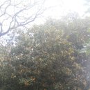 꽃향기민박
