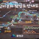 금성관광(주) 이미지