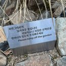 구암동482 | 칠곡 대형 카페 가볼만한 곳 소소래