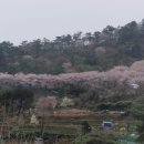 안민 - 김해시 천곡로 159 | 안민