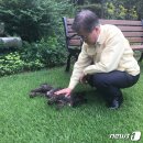 토리 이미지