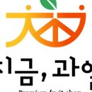 지금;과일 이미지