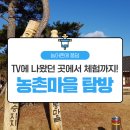 늘햇살만우농촌체험마을 | [농촌체험여행 웰촌?] TV에 나왔던 곳에서 체험까지! 농촌마을 탐방하기