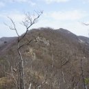 뿌리민박 이미지