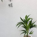 우리꽃집&카페 이미지